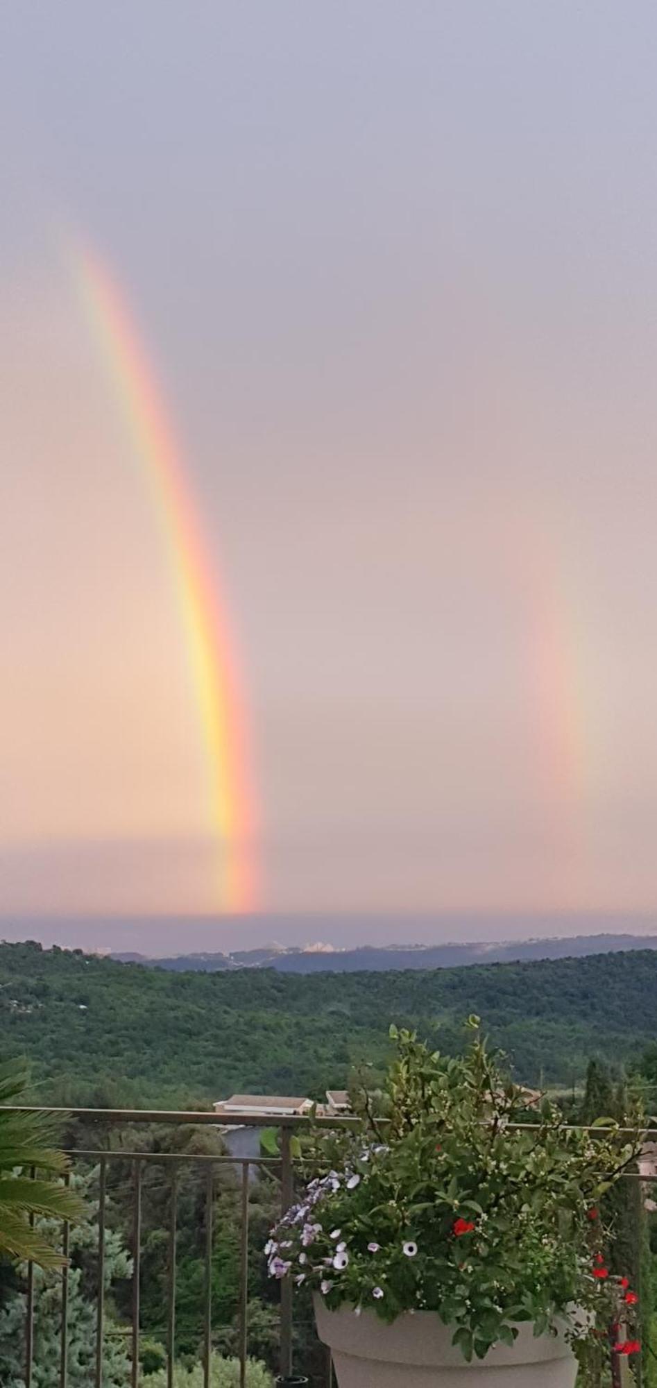 Plein Sud Villa Tourrettes-sur-Loup Buitenkant foto